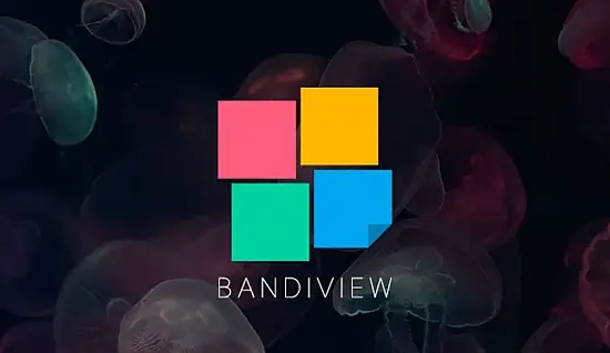 bandiview-portable