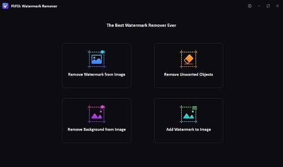 fliflik-watermark-remover-portable