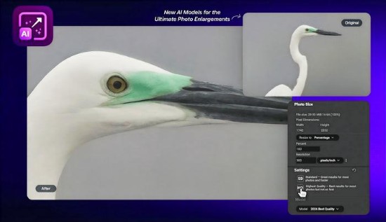 on1-resize-portable-download