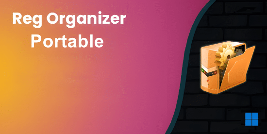 reg-organizer-portable reg-organizer-portable