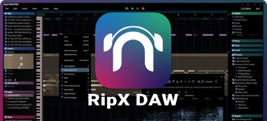 ripx-daw-portable ripx-daw-portable