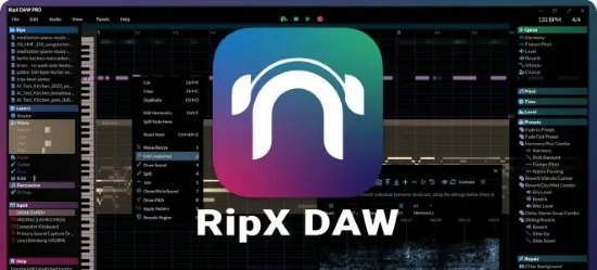 ripx-daw-portable