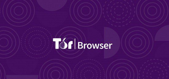 Tor portable browser flash hidra сериал даркнет 1 сезон кинопоиск гирда