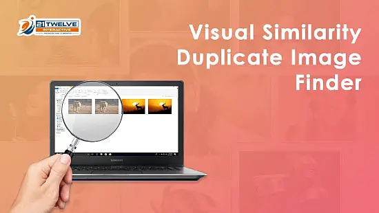 visual-similarity-finder-portable