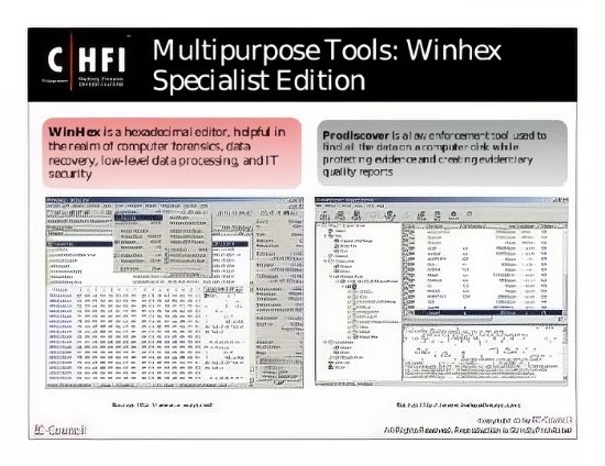 winhex-portable winhex-portable